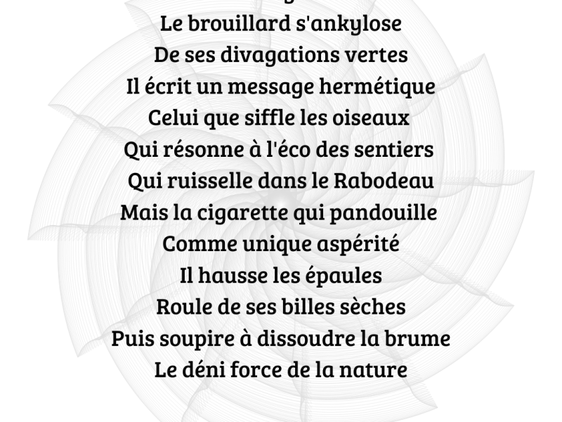 (Poésie) : Au col du&nbsp;déni